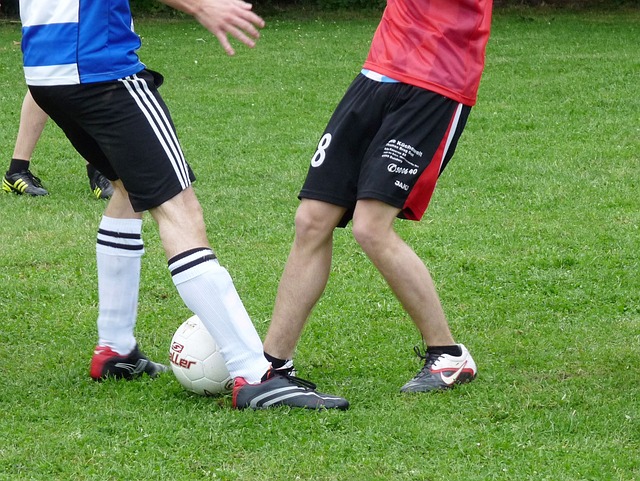 从而实现对 从而实现对