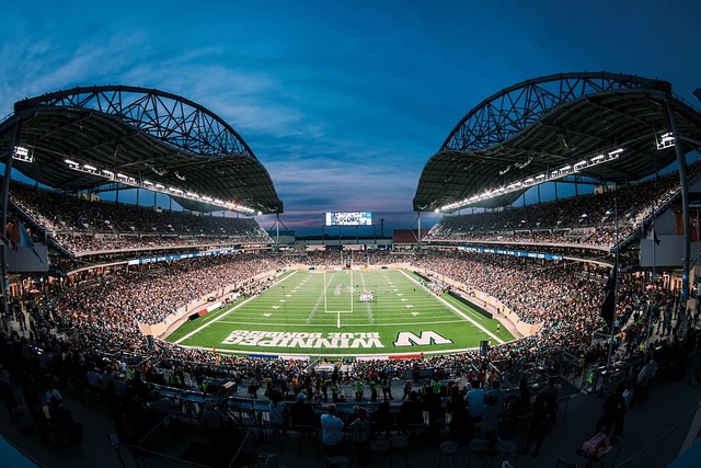 奥斯卡不仅 奥斯卡不仅