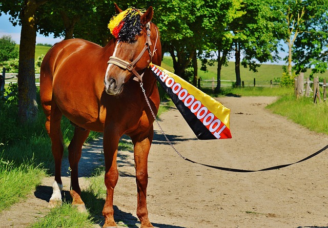 更是一种对 更是一种对